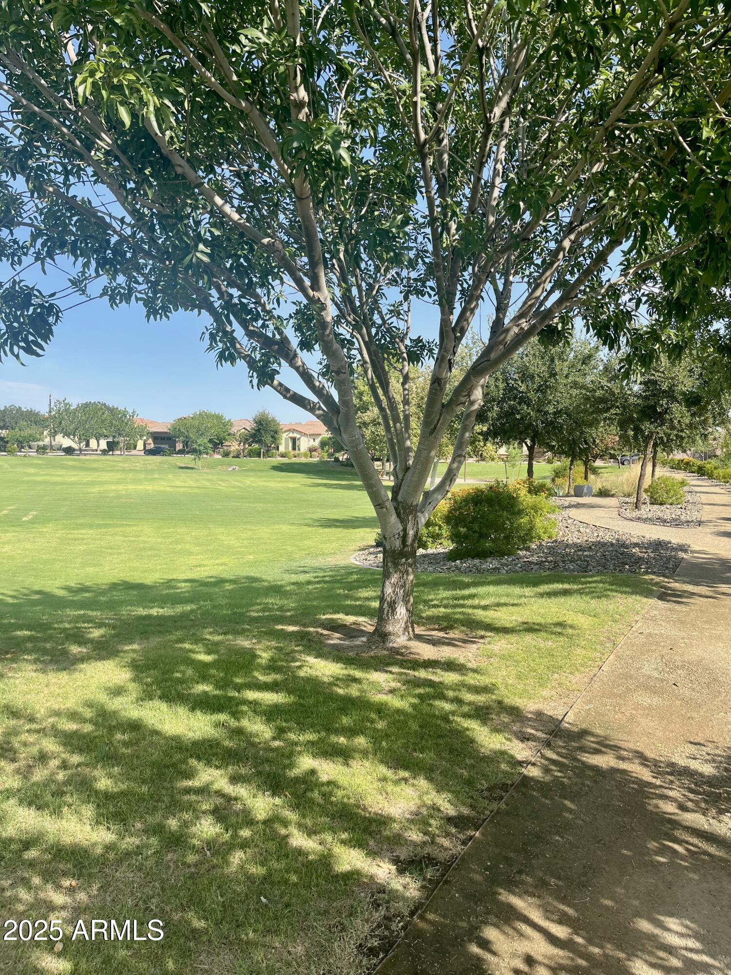 10559 E DIFFRACTION Avenue