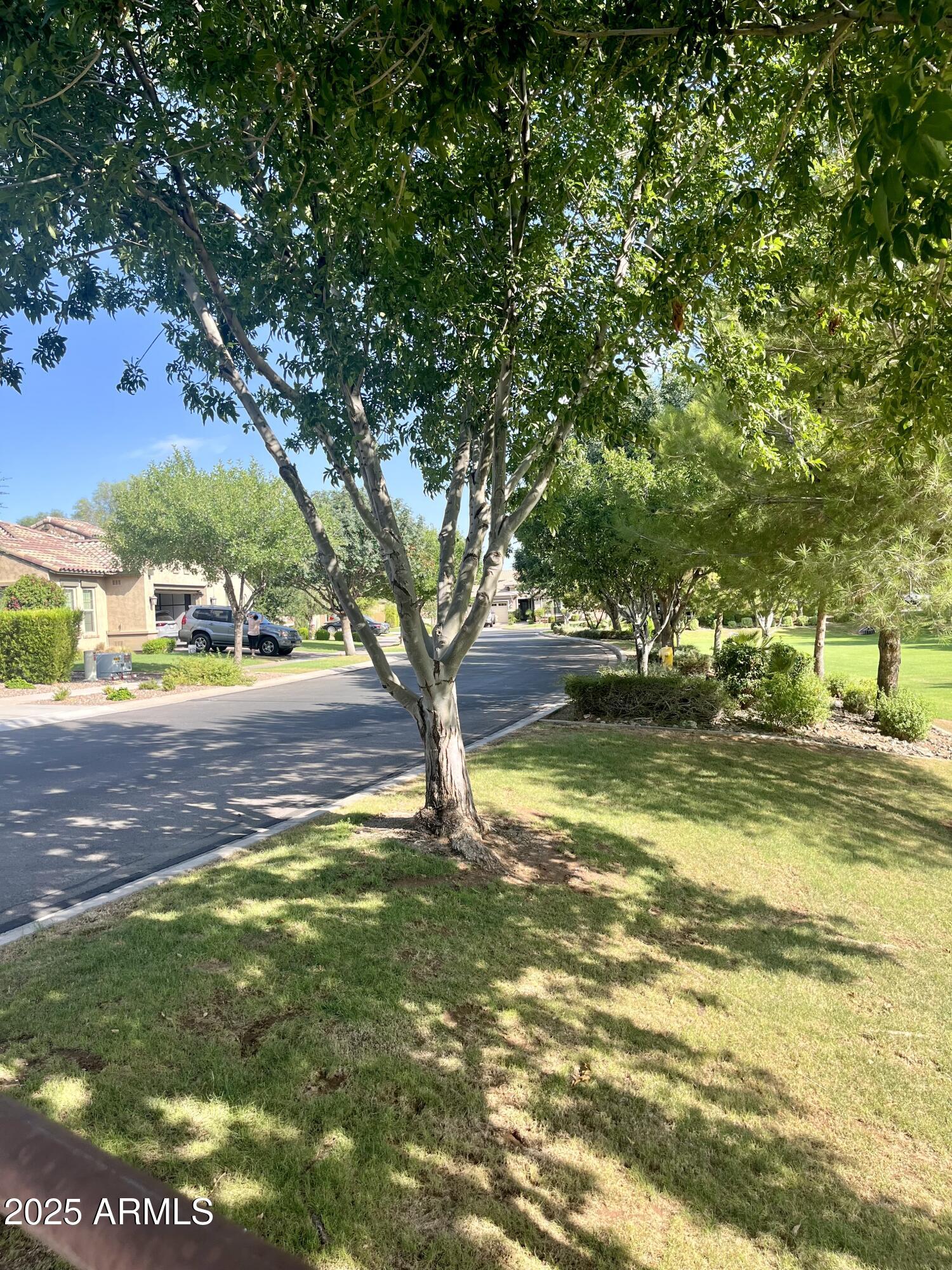 10559 E DIFFRACTION Avenue