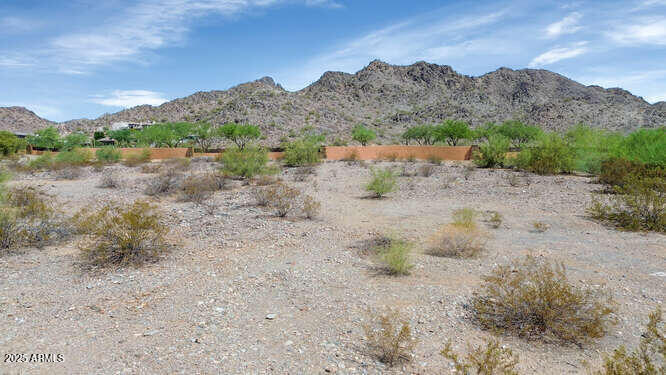 3308 E Stella Lane, 5