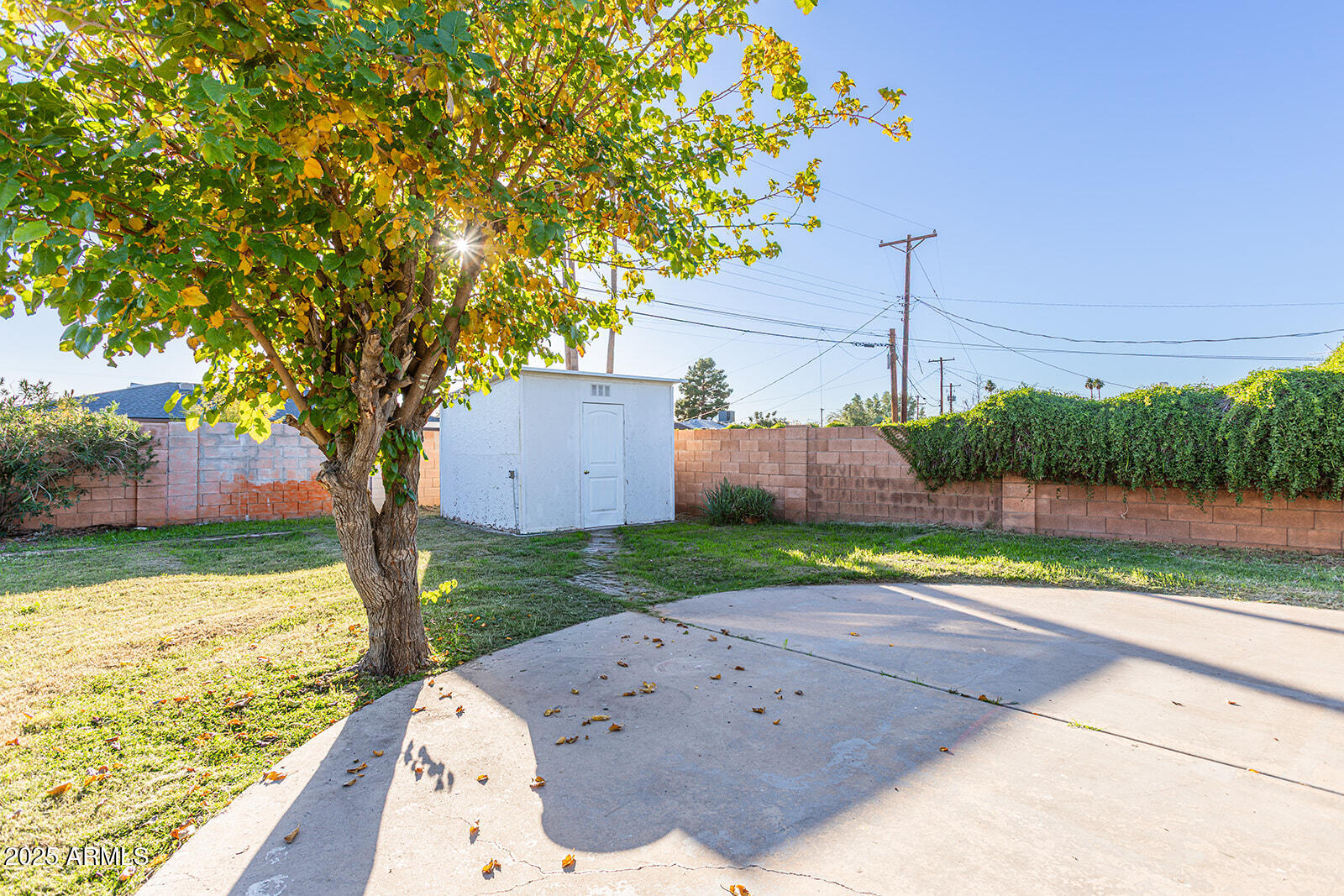 2033 W PALO VERDE Drive