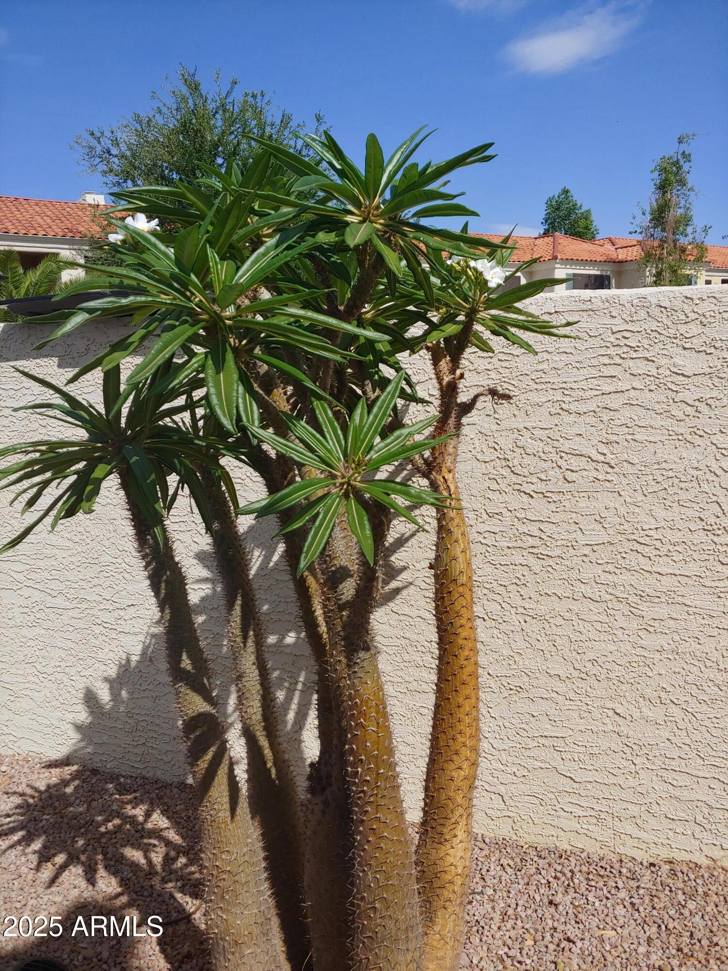 9990 N SCOTTSDALE Road, 3025