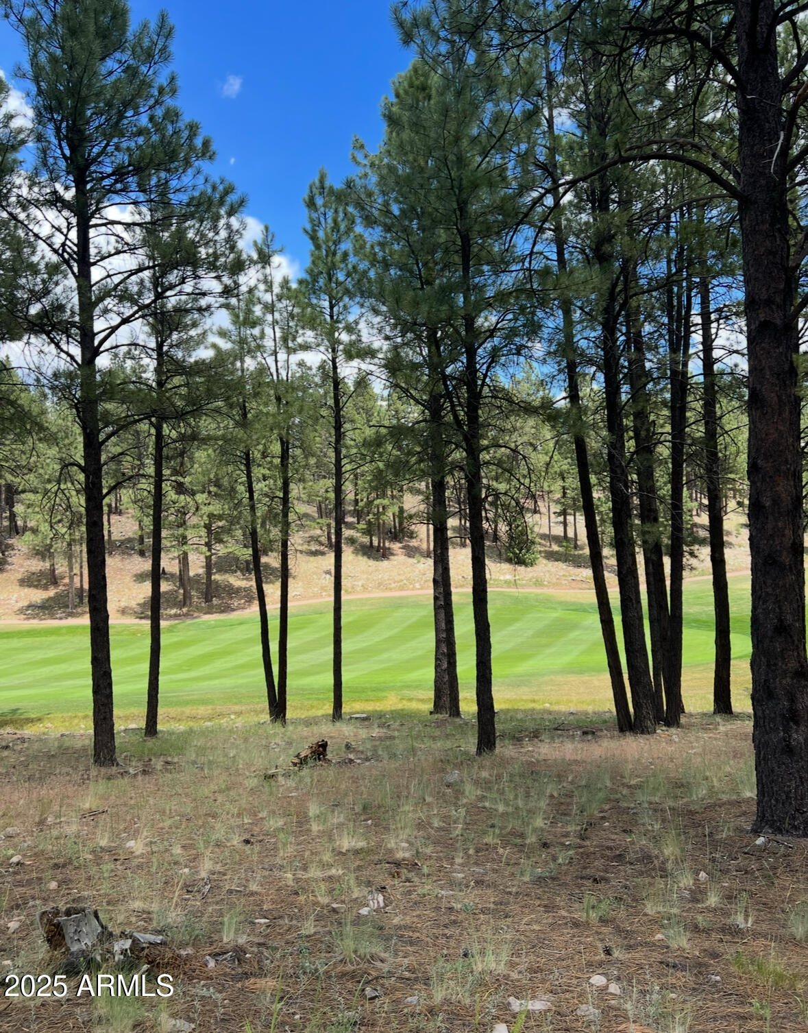 3607 S Woodland Hills Drive, 372