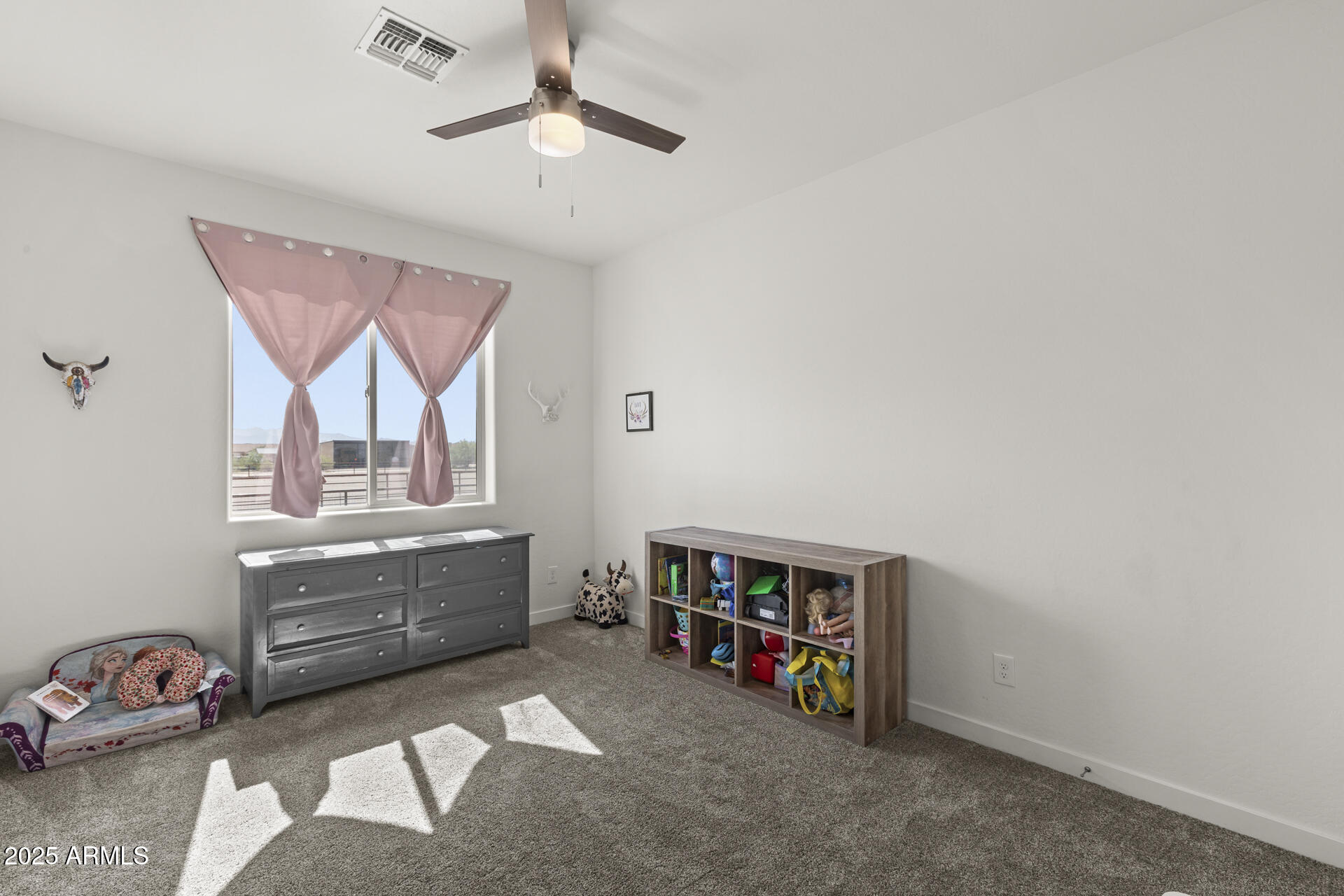 32011 N 225TH Drive, Wittmann