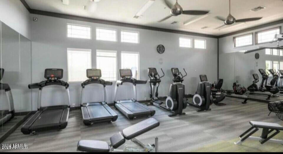 4615 E NAVIGATOR Lane, Phoenix