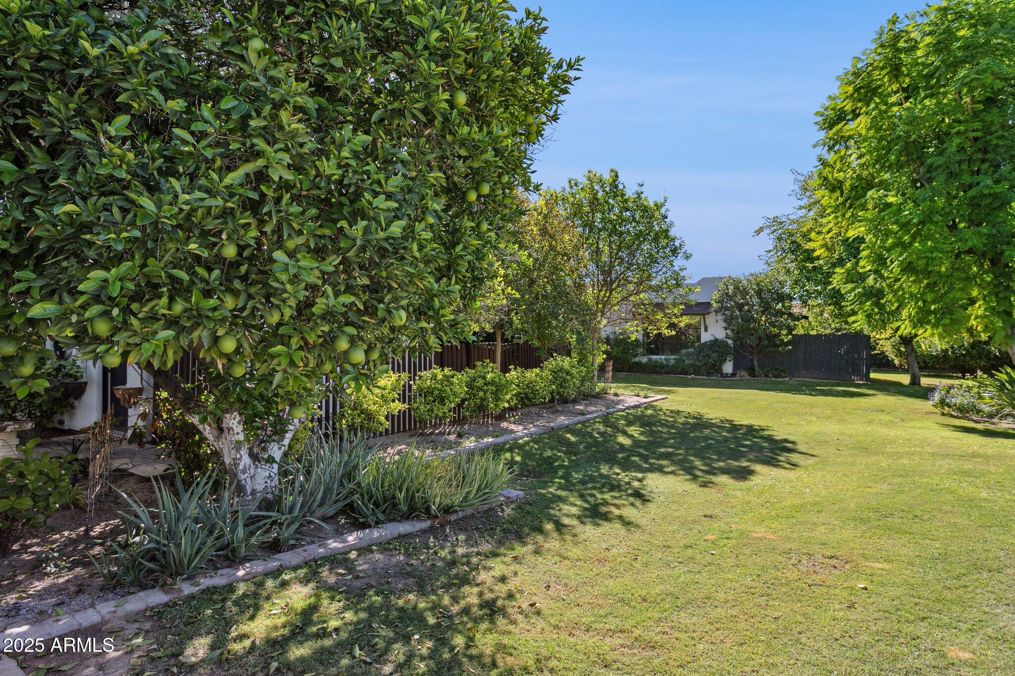 7005 E JACKRABBIT Road