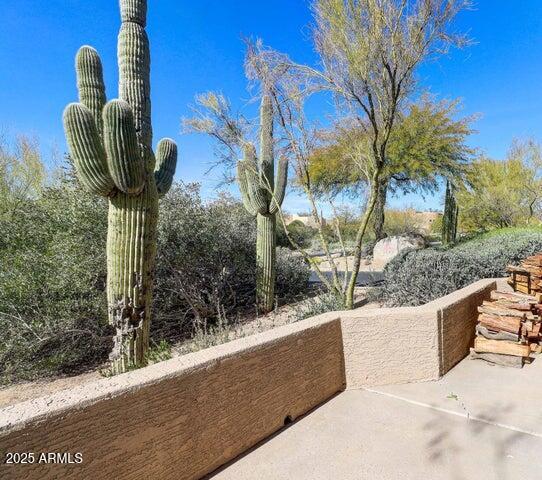 25555 N WINDY WALK Drive 1