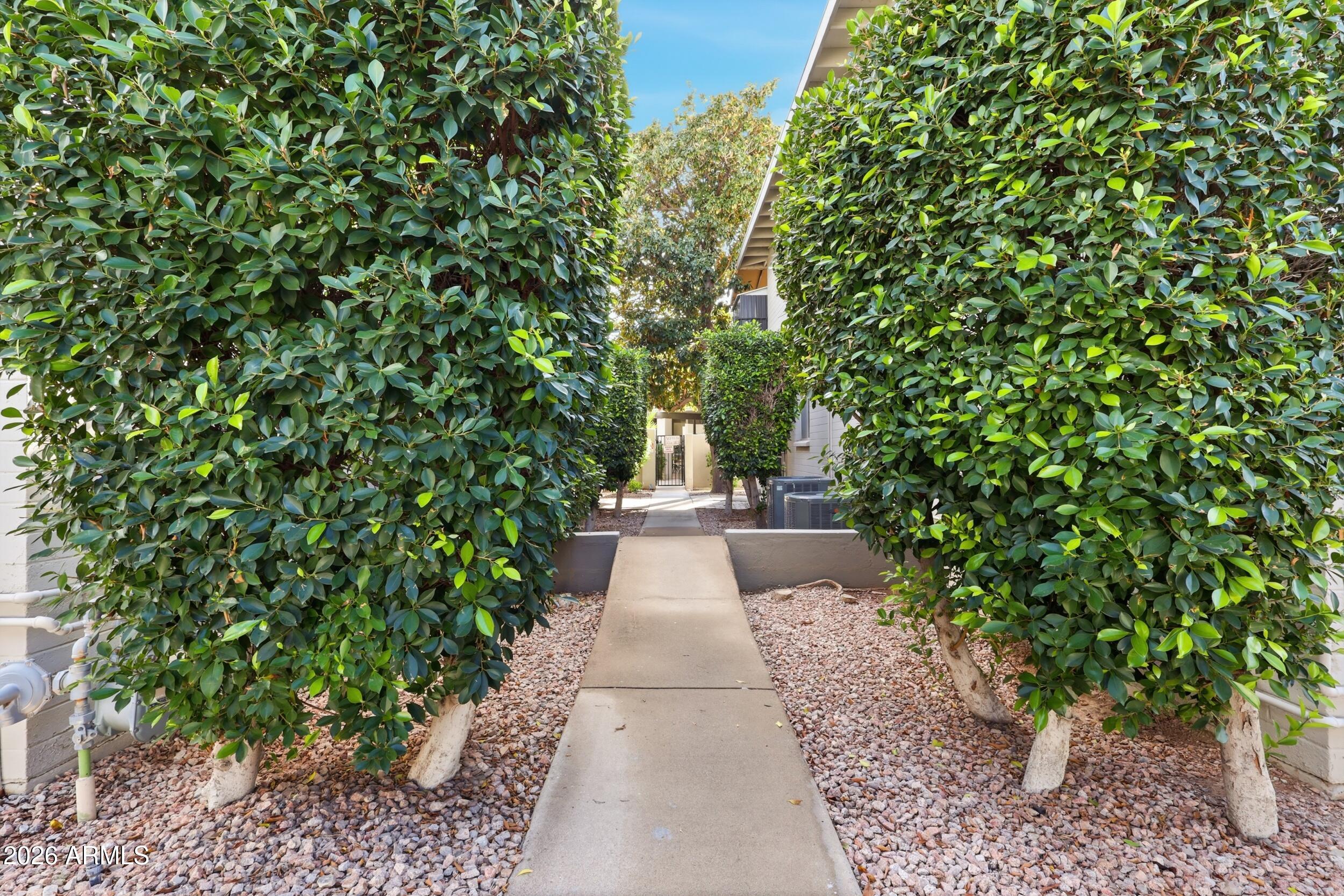 4102 E CALLE REDONDA 43