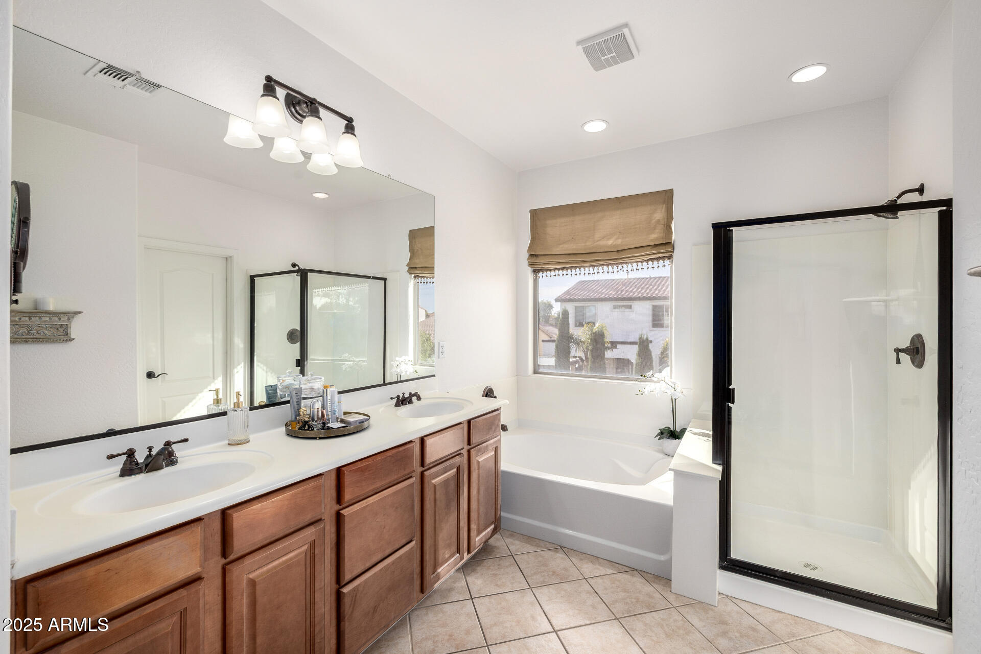 377 W DESERT BROOM Drive