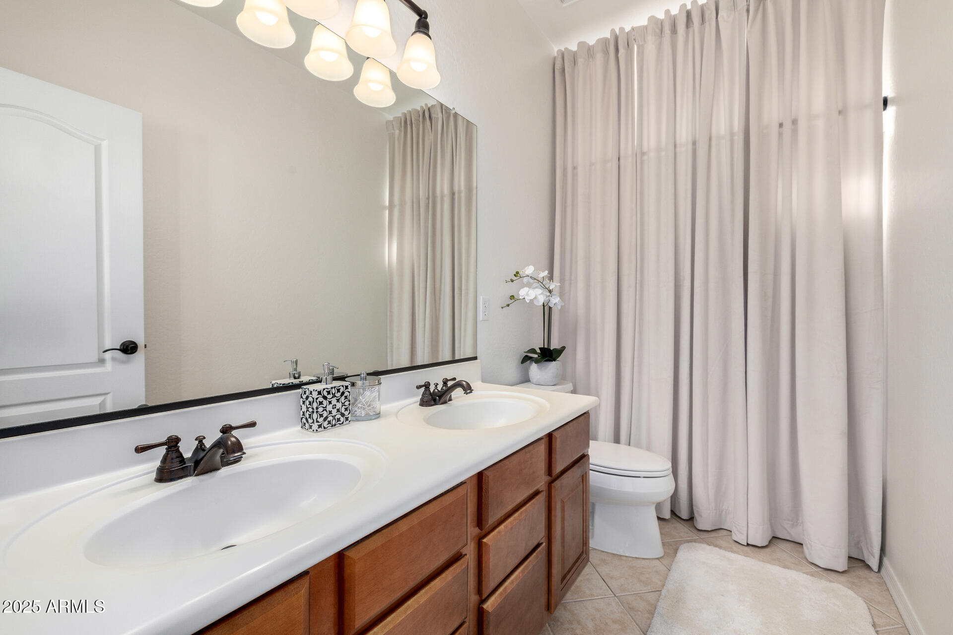 377 W DESERT BROOM Drive