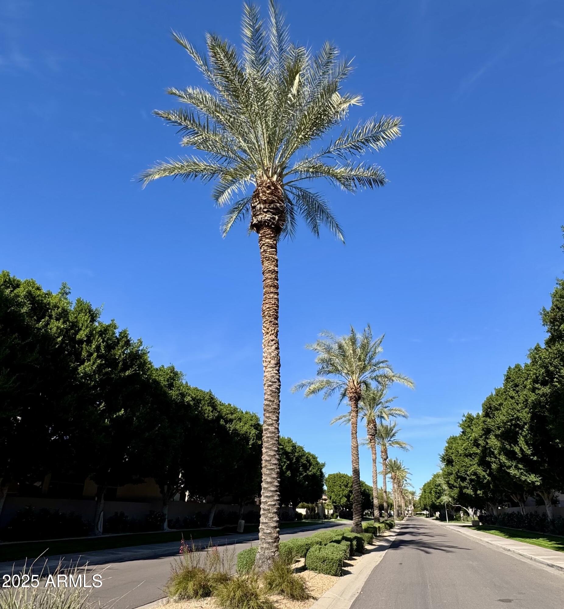 7307 E VAQUERO Drive