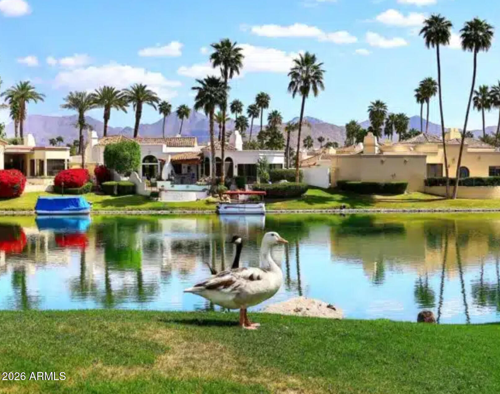 10115 E MOUNTAIN VIEW Road 2106