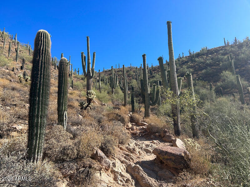 11994 N 125TH Street