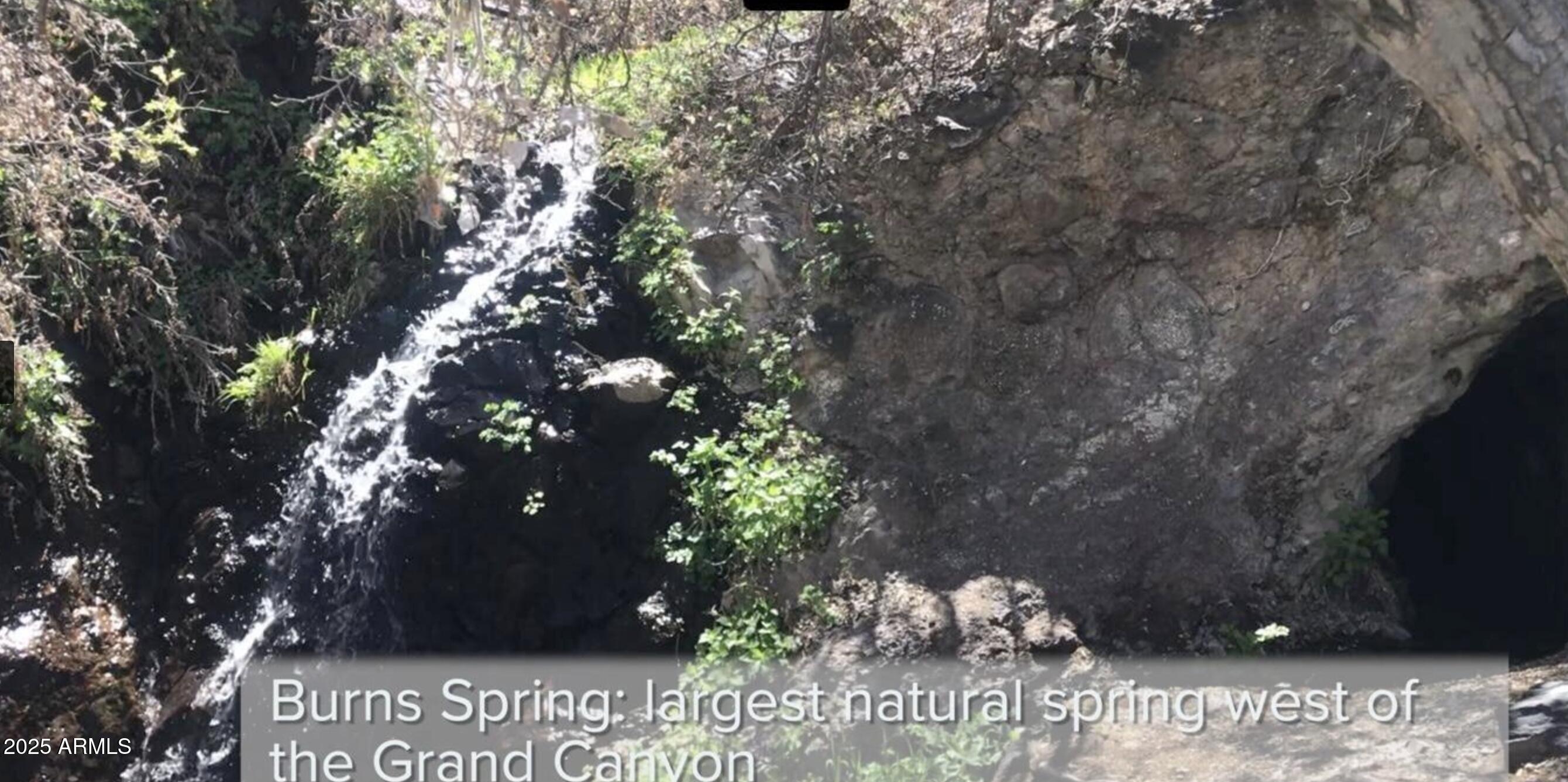 0 N Dolan Springs -- Unit: 4000