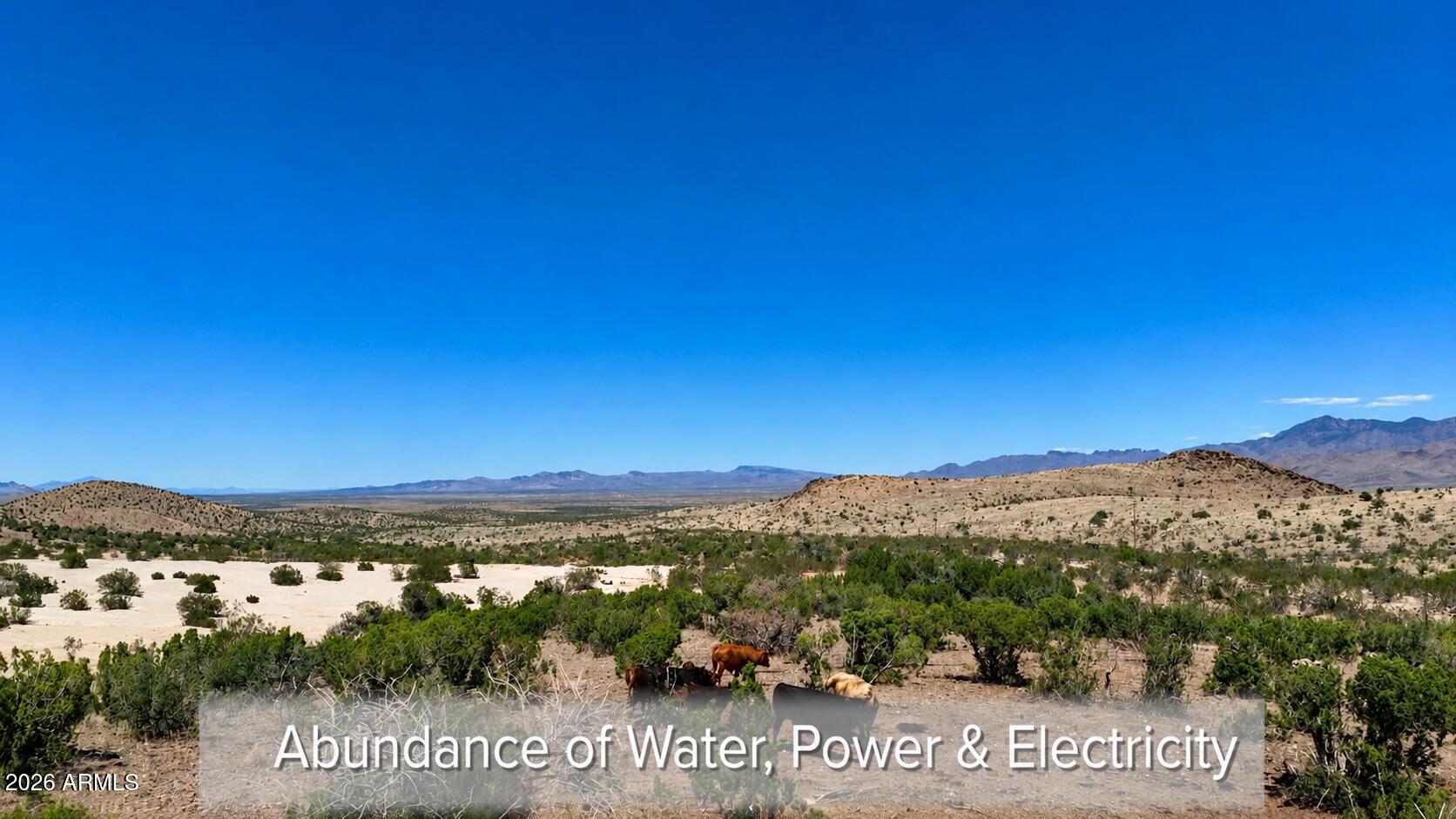 0 N Dolan Springs -- Unit: 4000