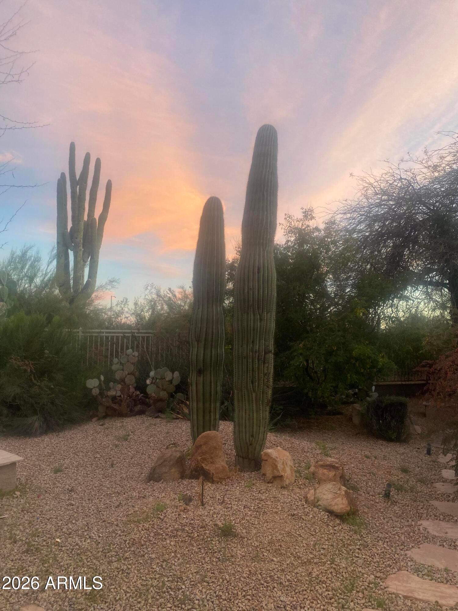 4439 E RED RANGE Way