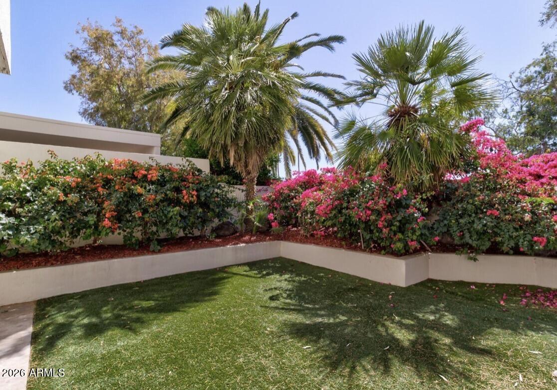 7240 N VIA DE LA MONTANA