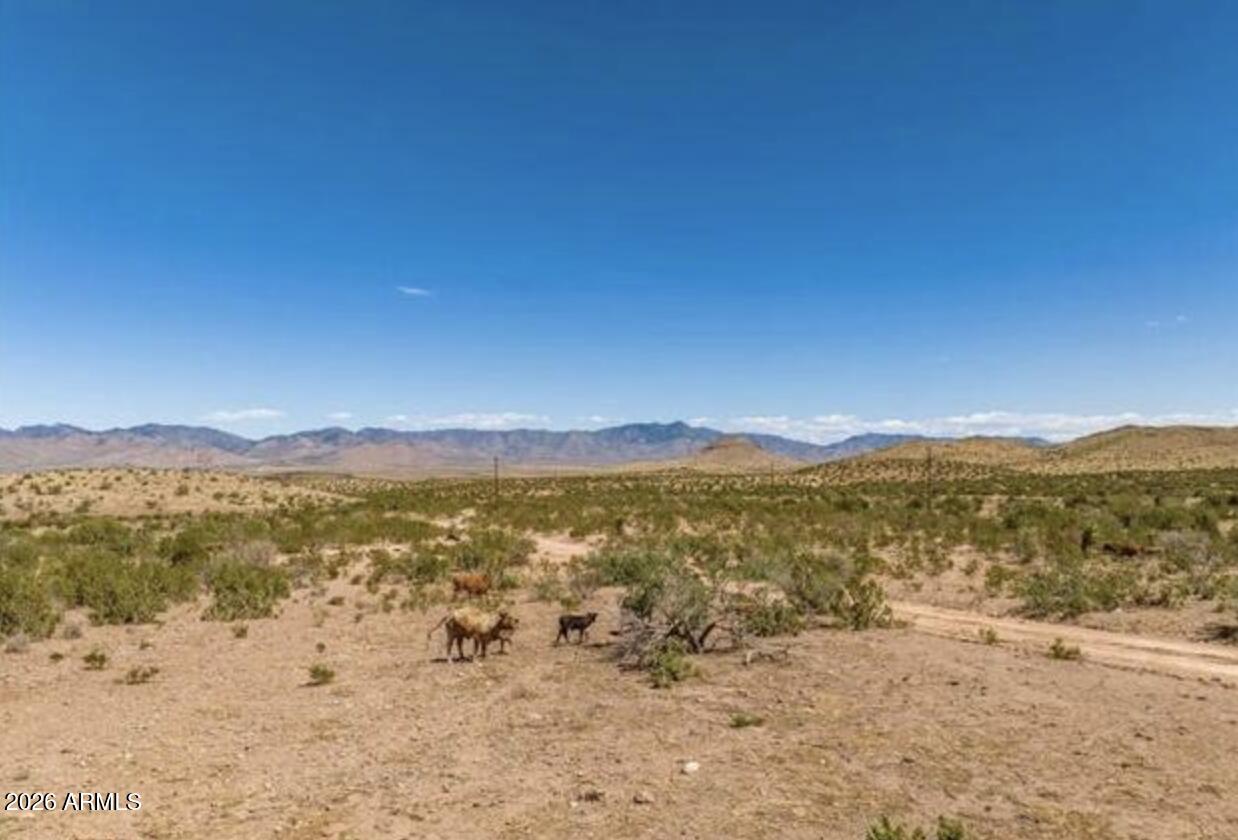 20455 N Skipper Boulevard 282