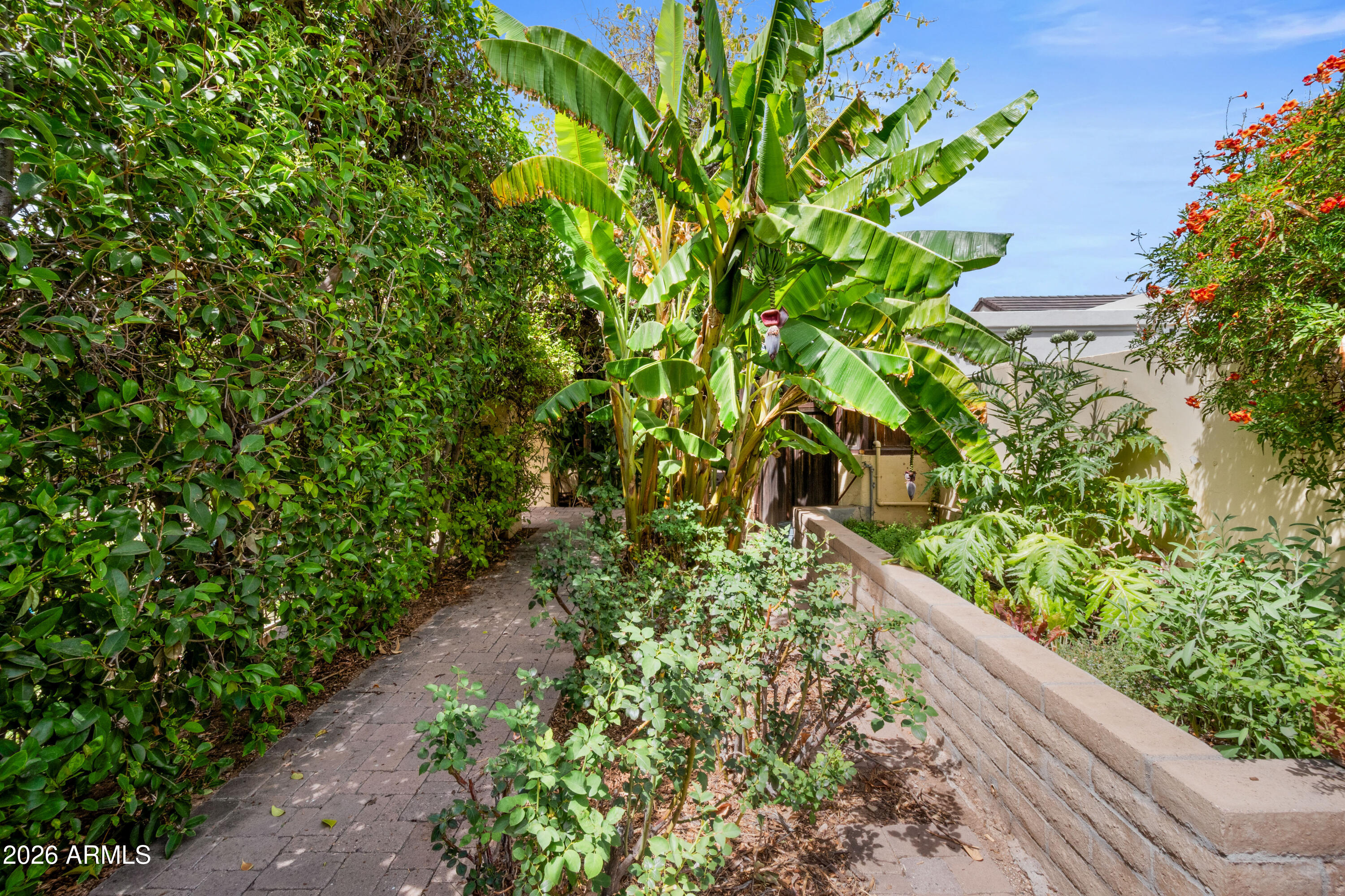 8131 E APPALOOSA Trail