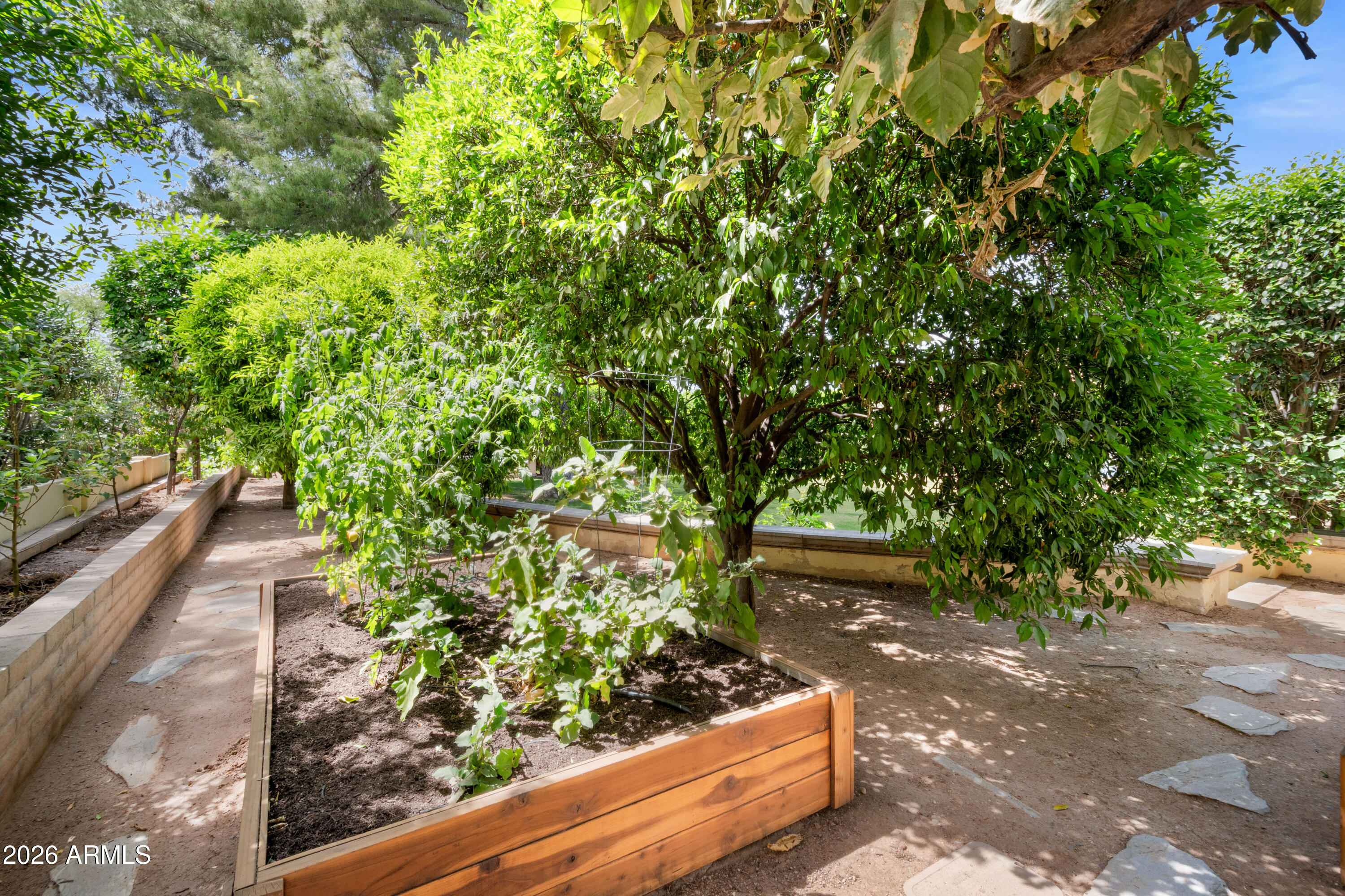 8131 E APPALOOSA Trail
