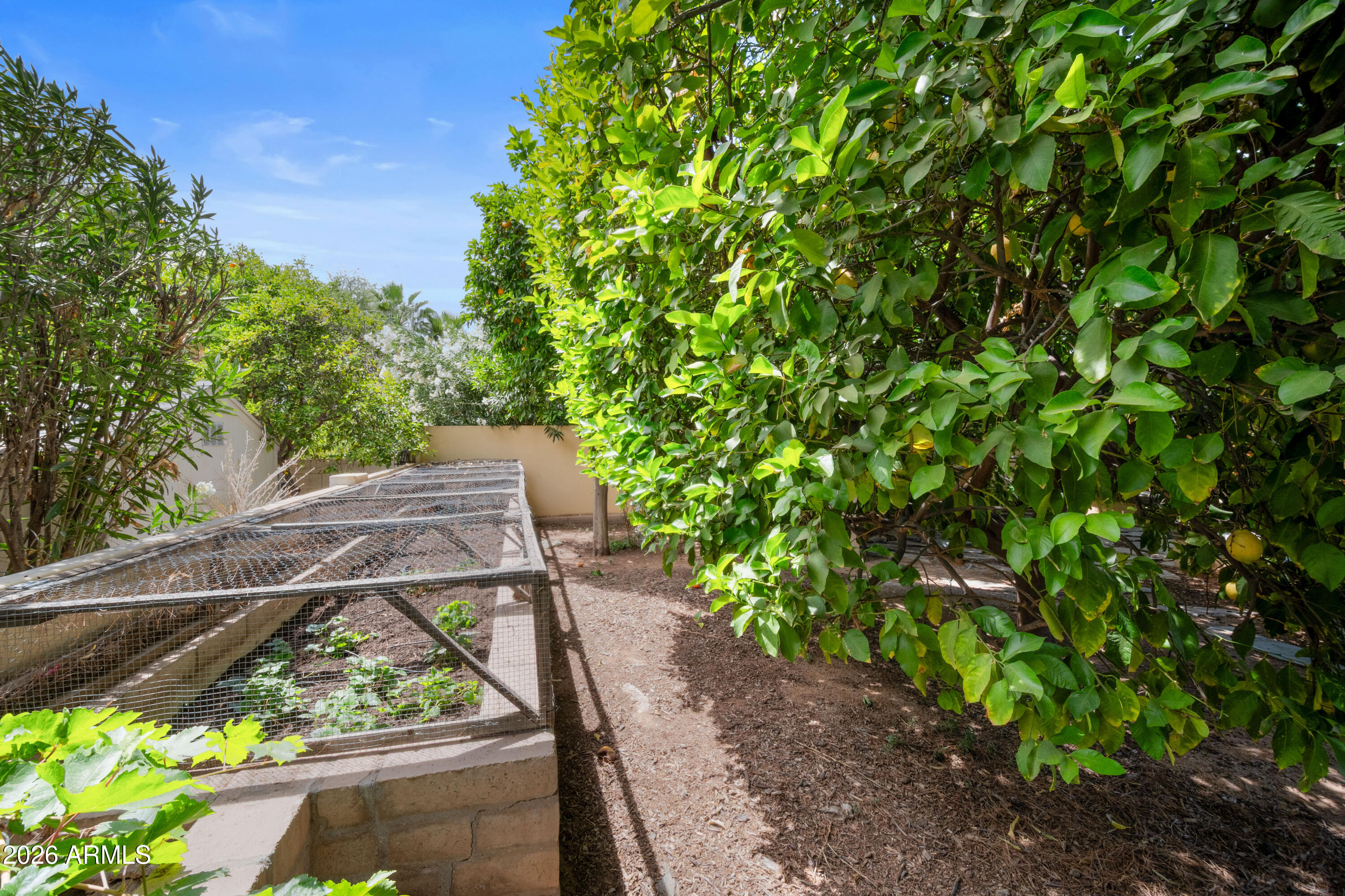 8131 E APPALOOSA Trail