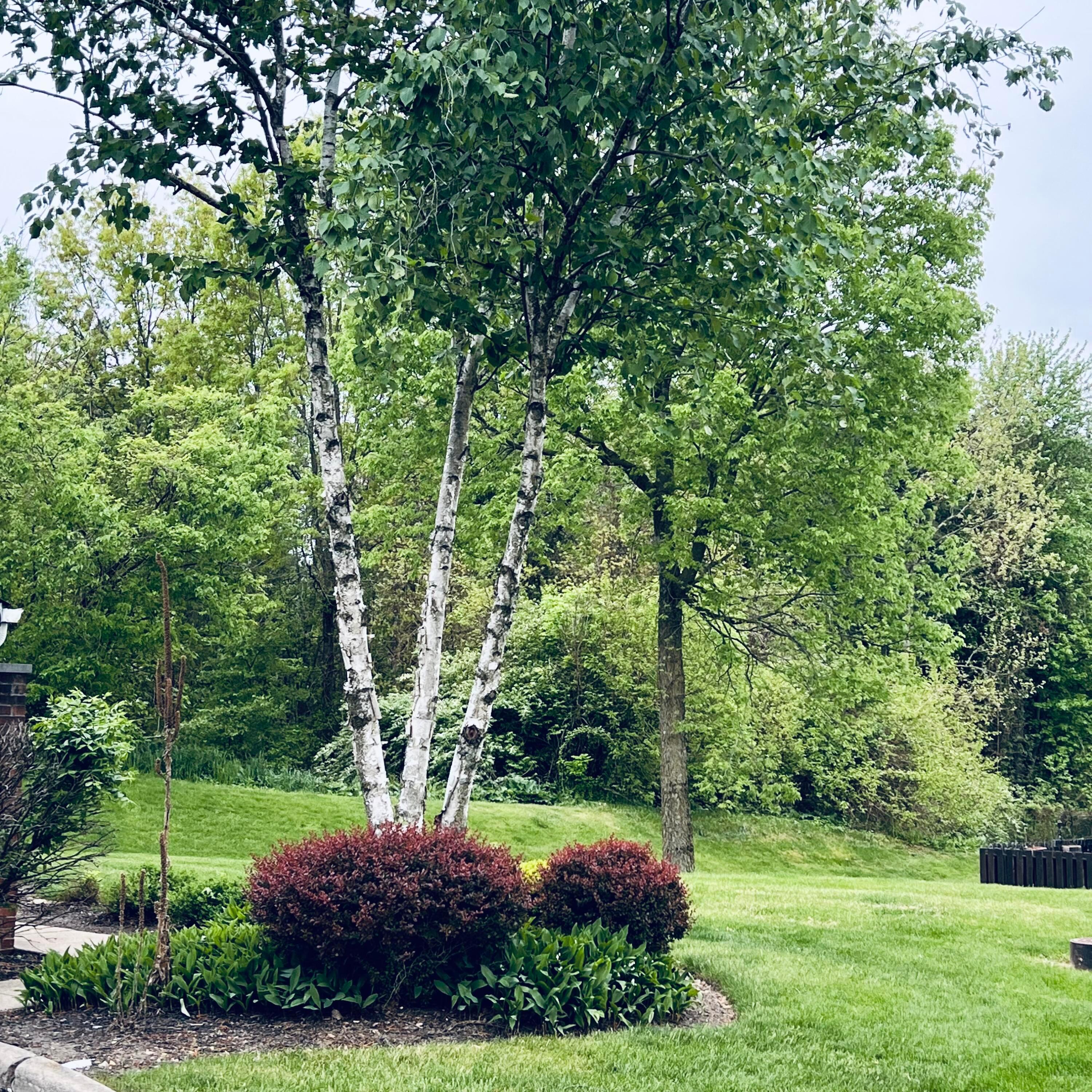 4940 Nordley Village