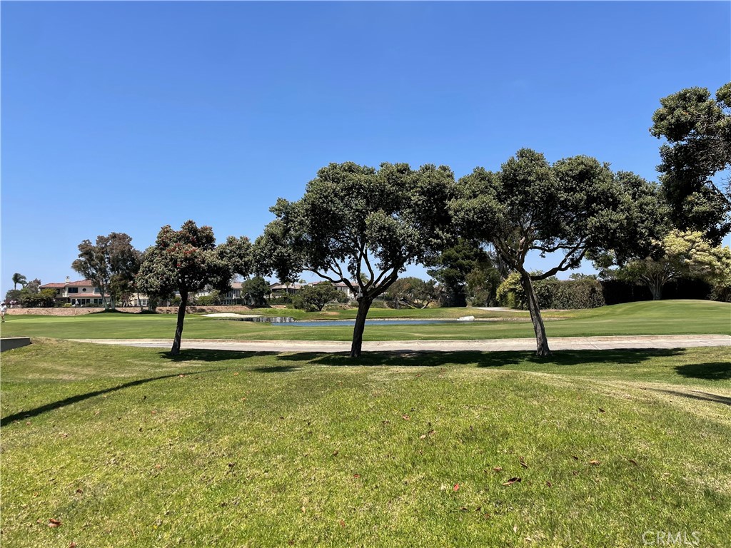 19375 Woodlands Drive