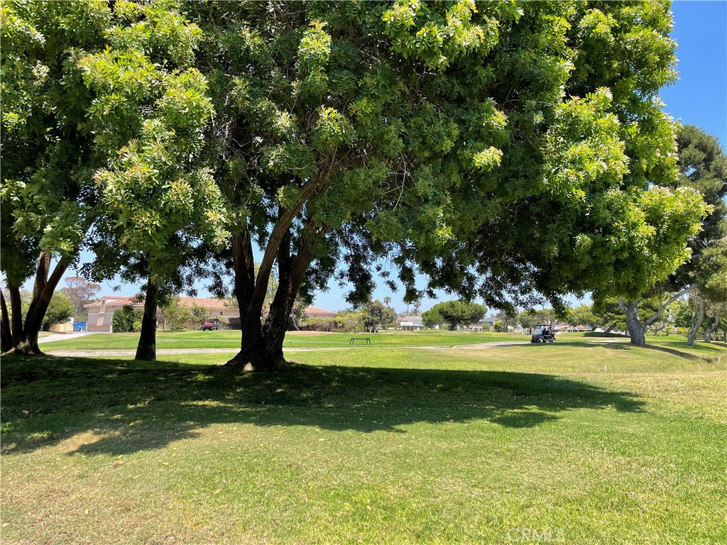 19375 Woodlands Drive