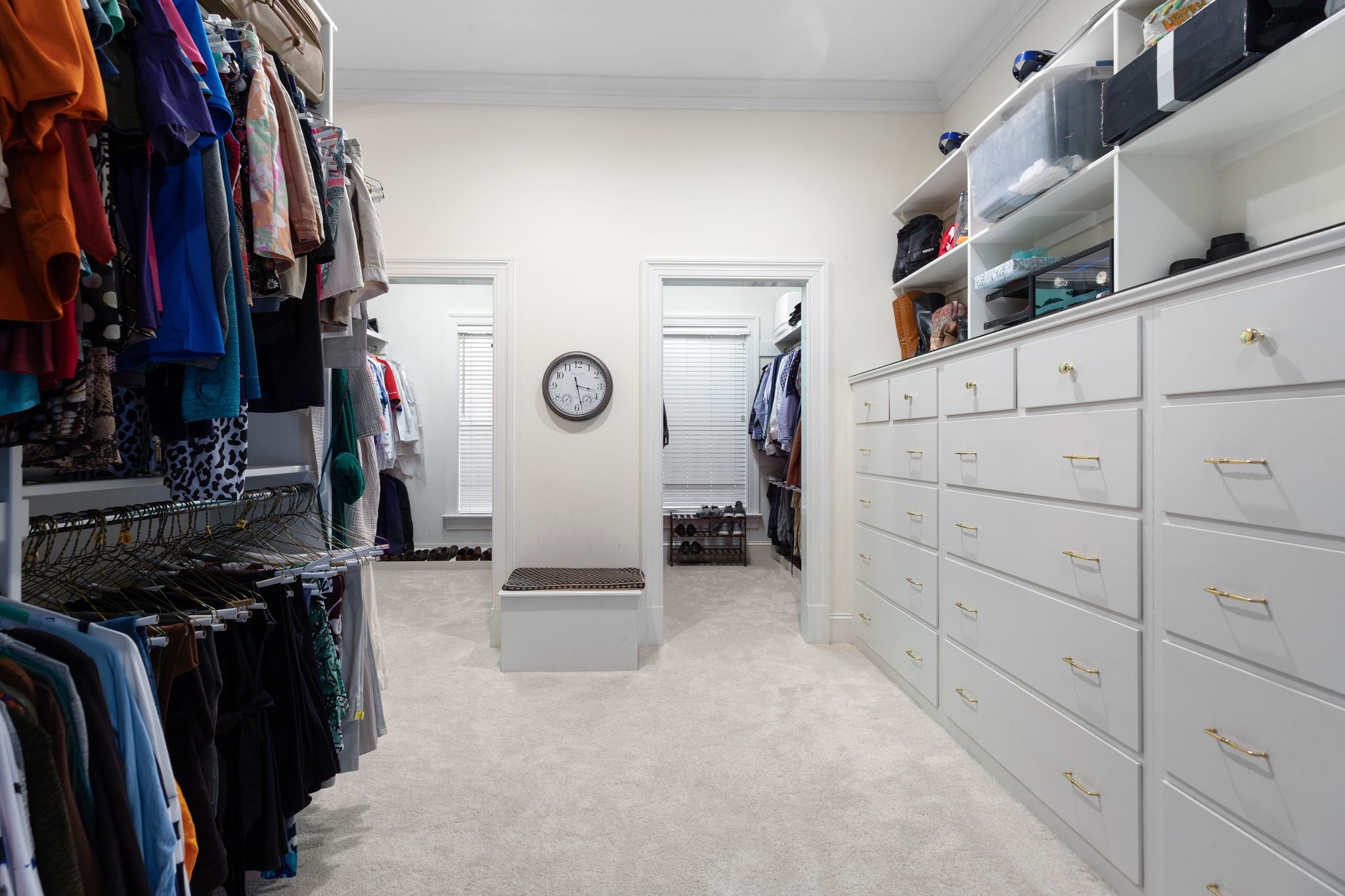 1728 Shagbark Trl