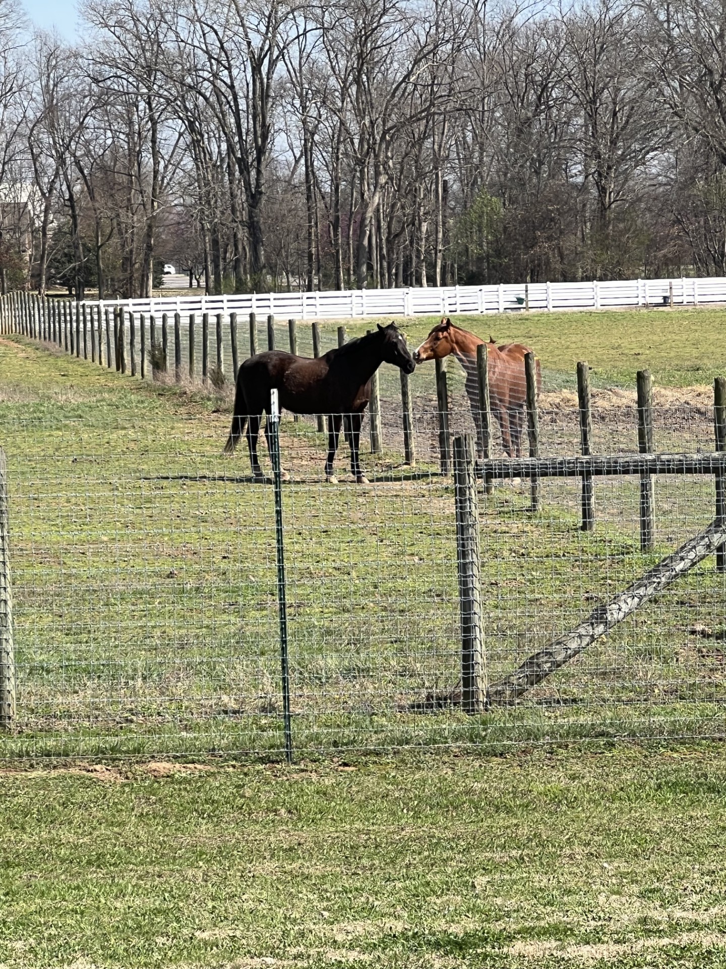 3534 Caroline Farms Dr