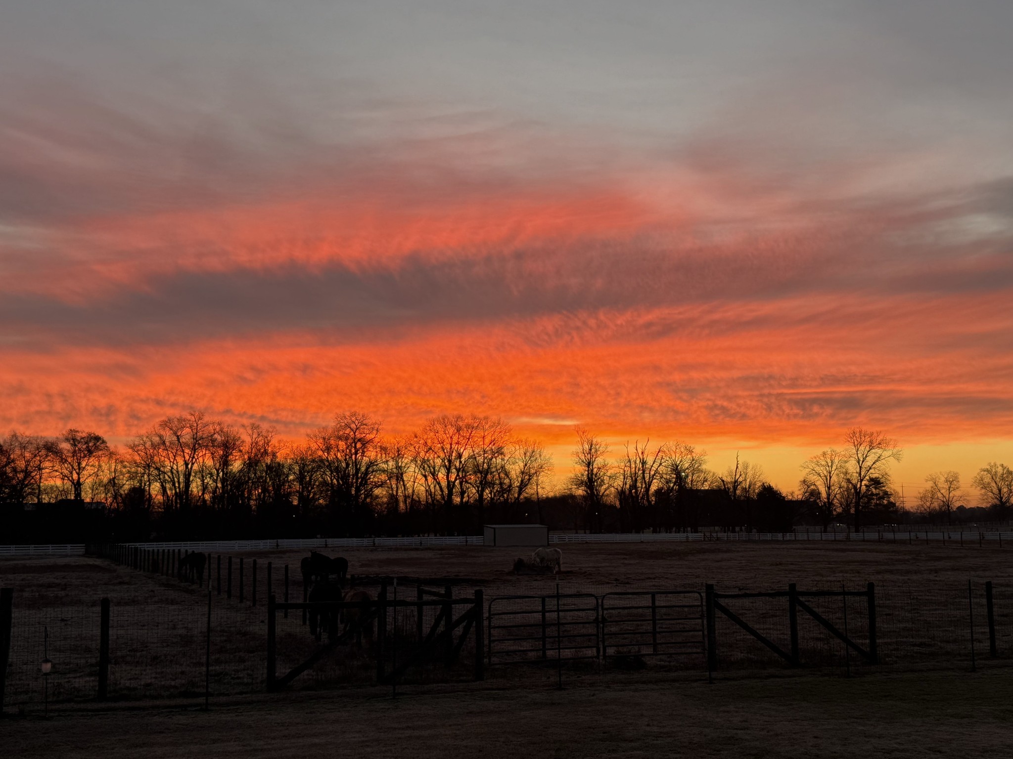 3534 Caroline Farms Dr