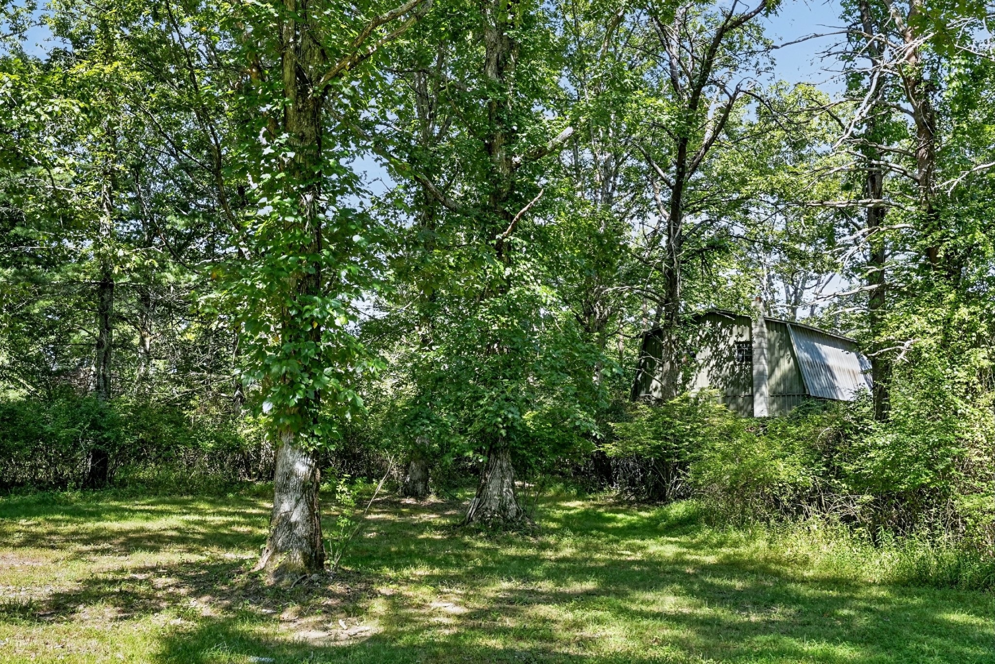 1110 Peavine Rd