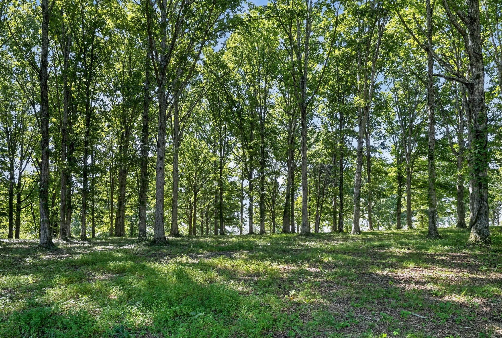 1110 Peavine Rd