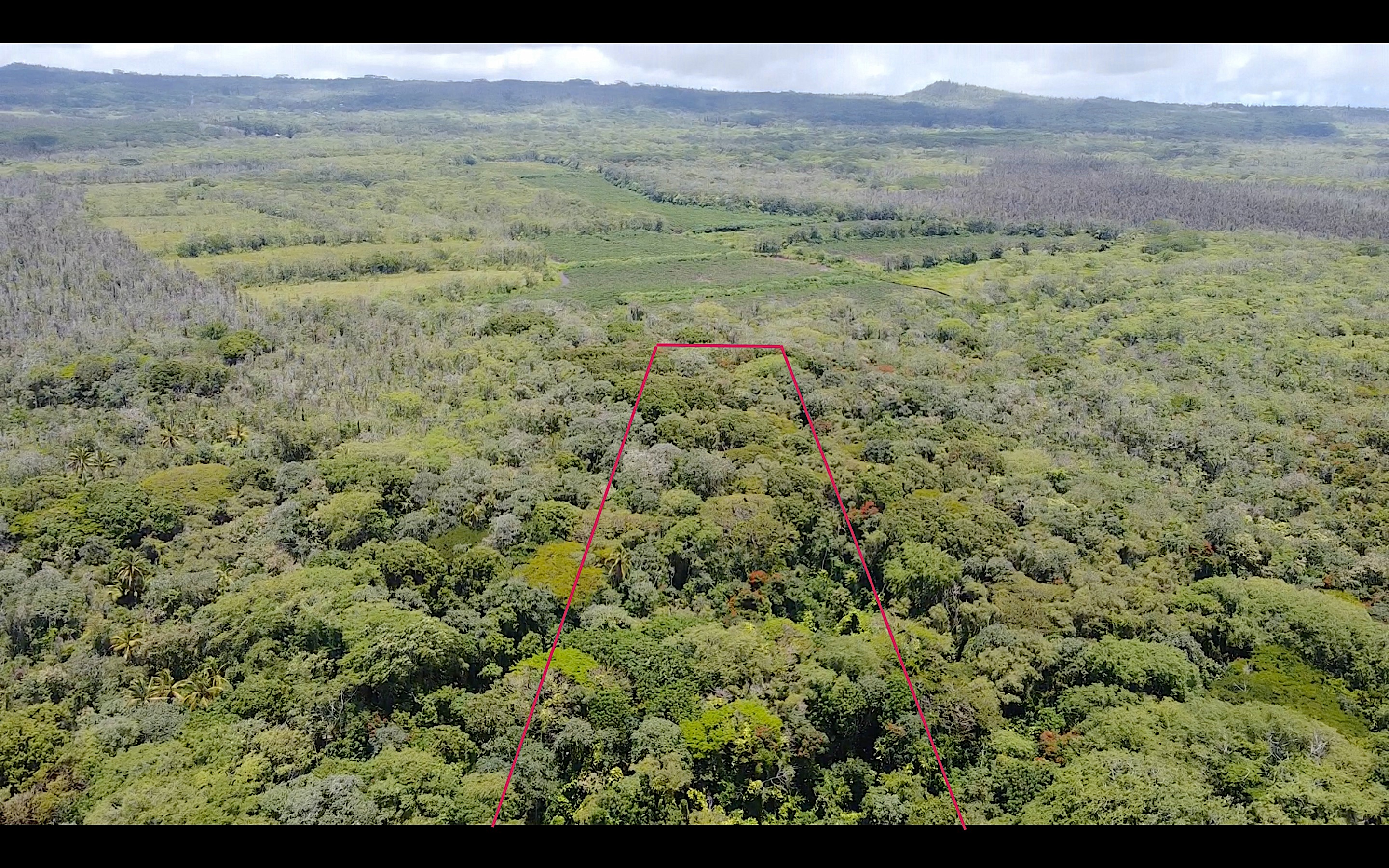 KAPOHO KALAPANA RD