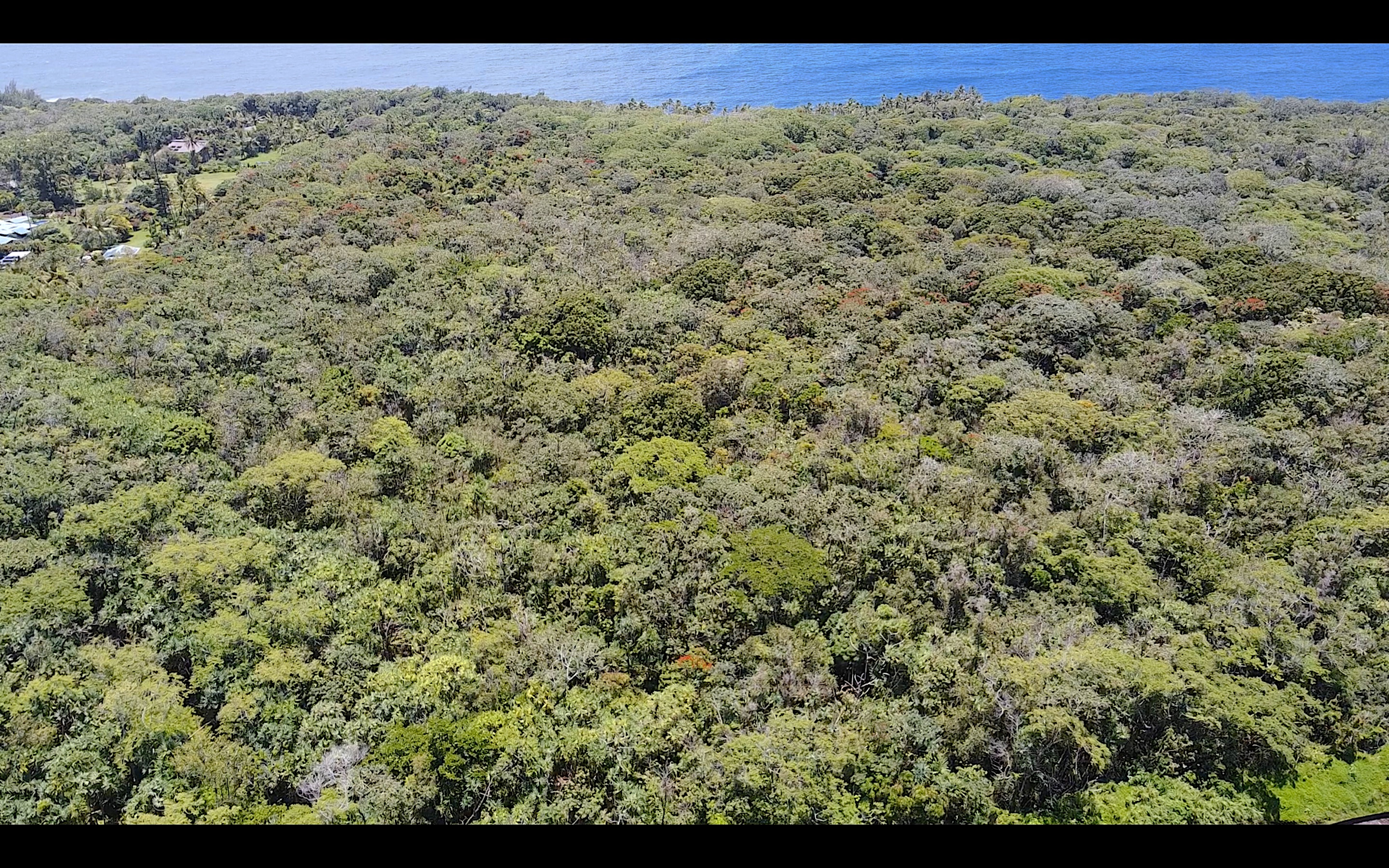 KAPOHO KALAPANA RD