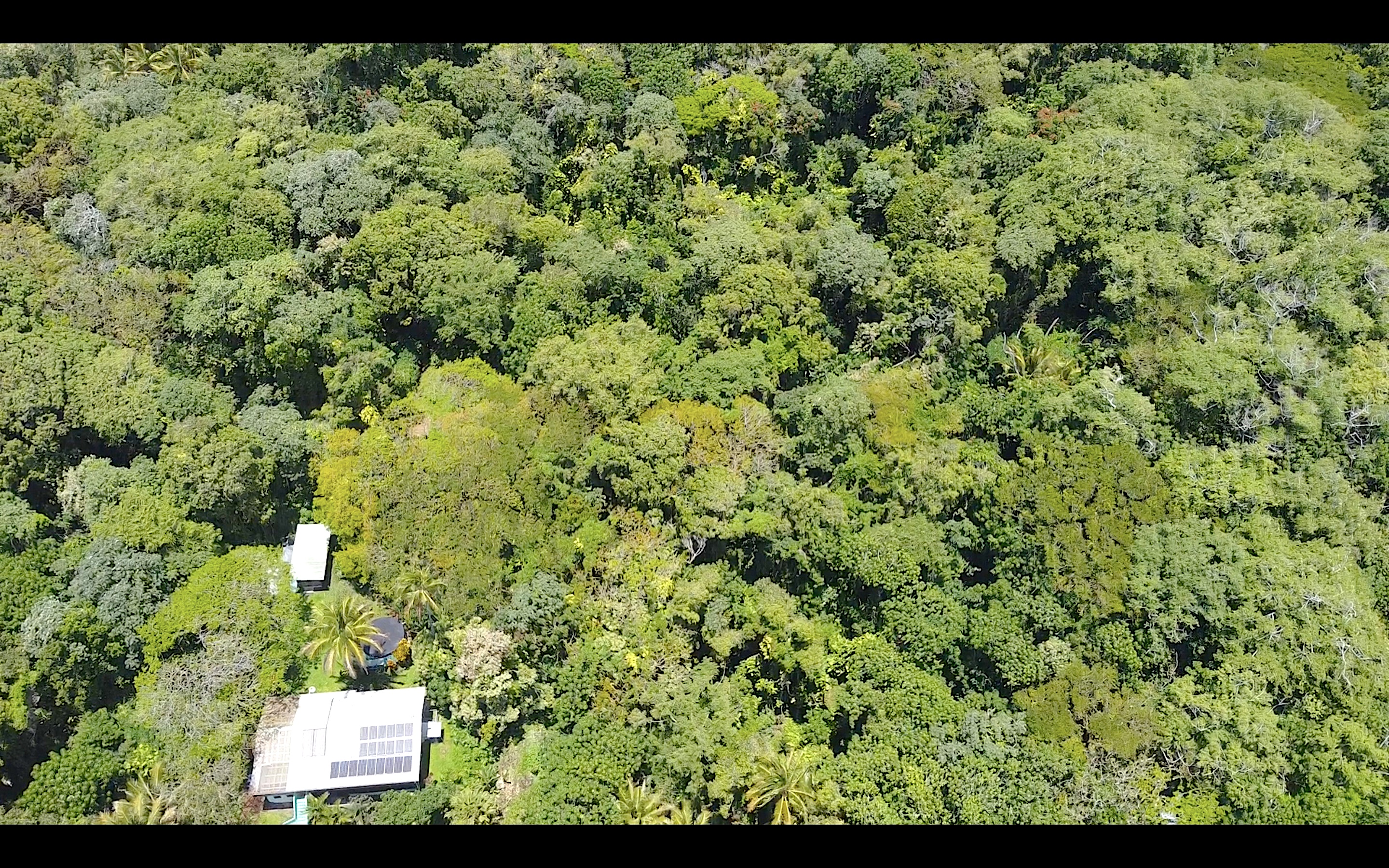 KAPOHO KALAPANA RD