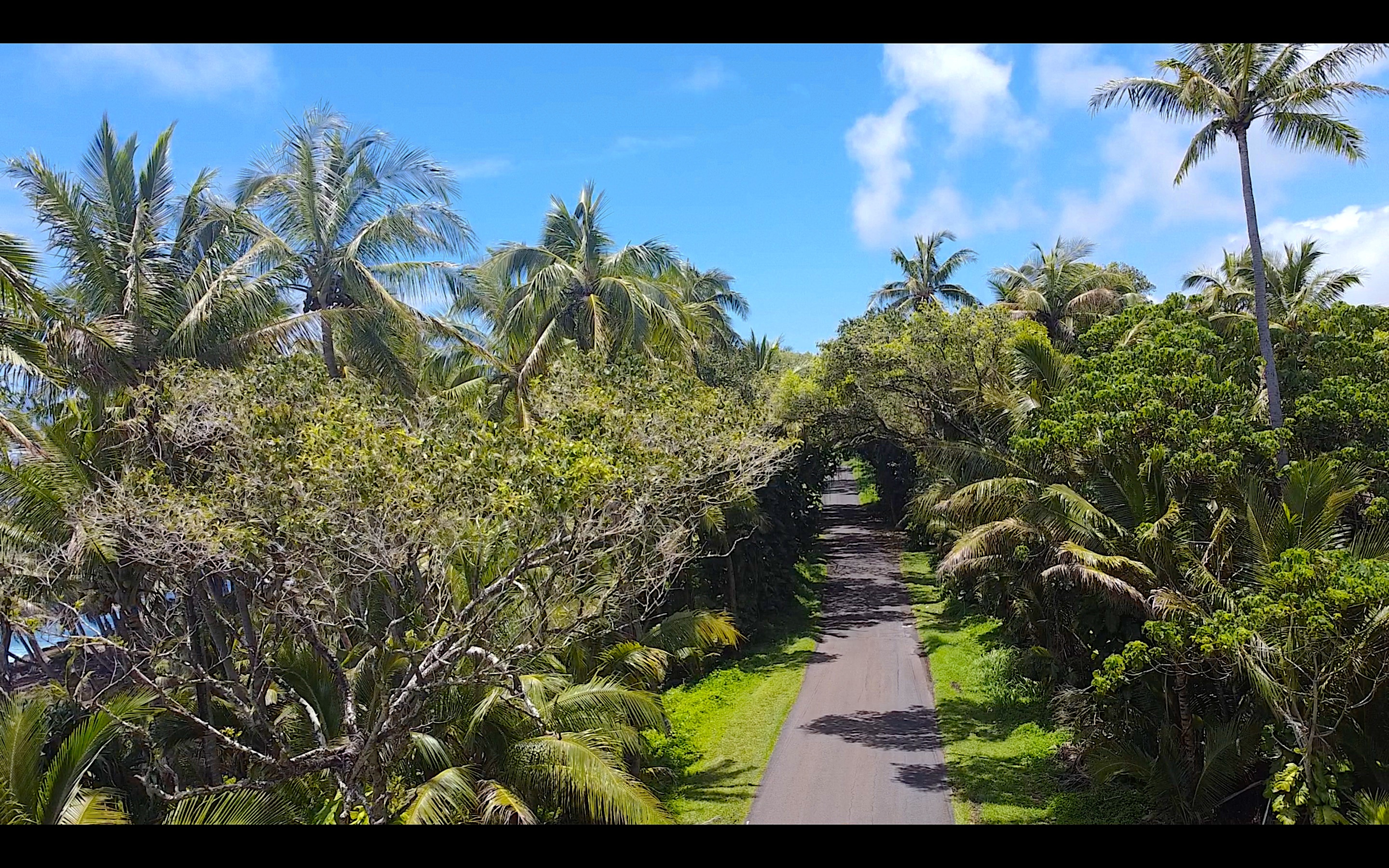 KAPOHO KALAPANA RD