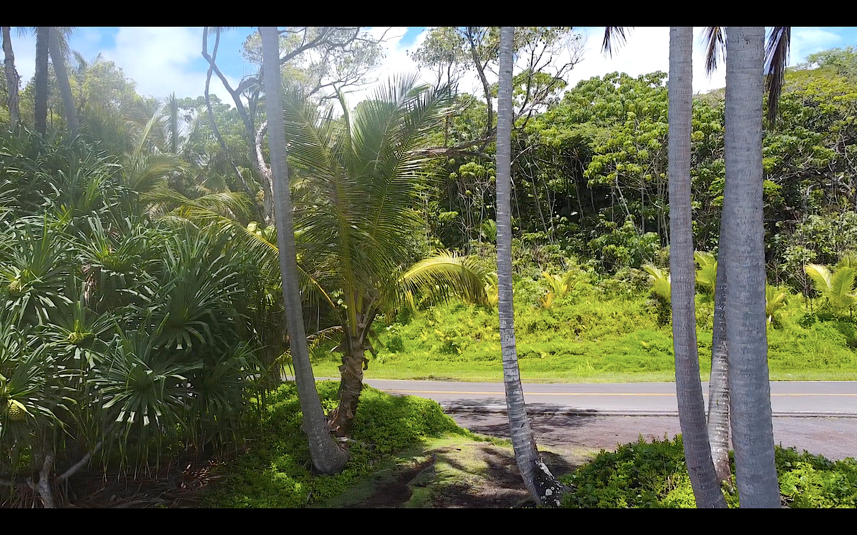 KAPOHO KALAPANA RD