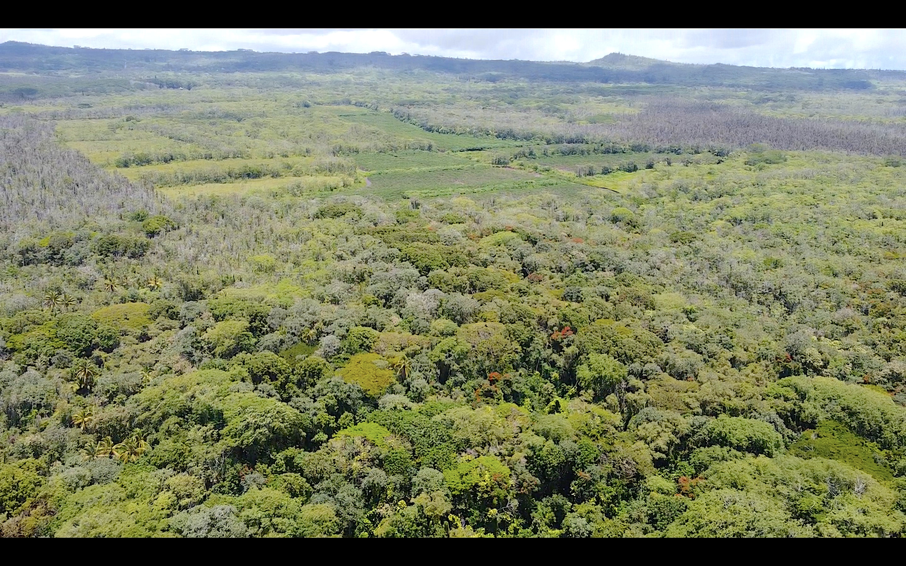 KAPOHO KALAPANA RD