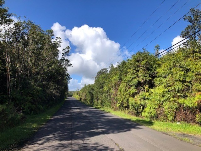 PALAINUI AVE