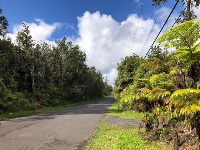 PALAINUI AVE