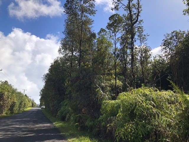 PALAINUI AVE