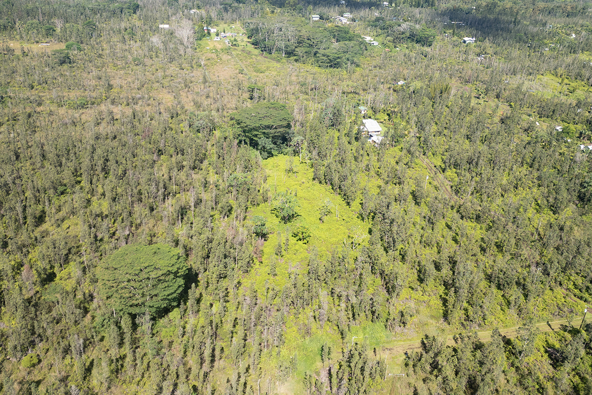 AULII ST