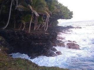 12-166 W MOANAULI LOOP