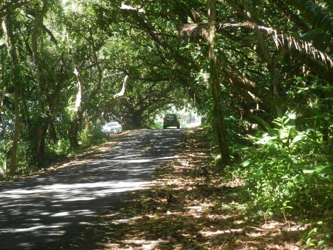 12-166 W MOANAULI LOOP