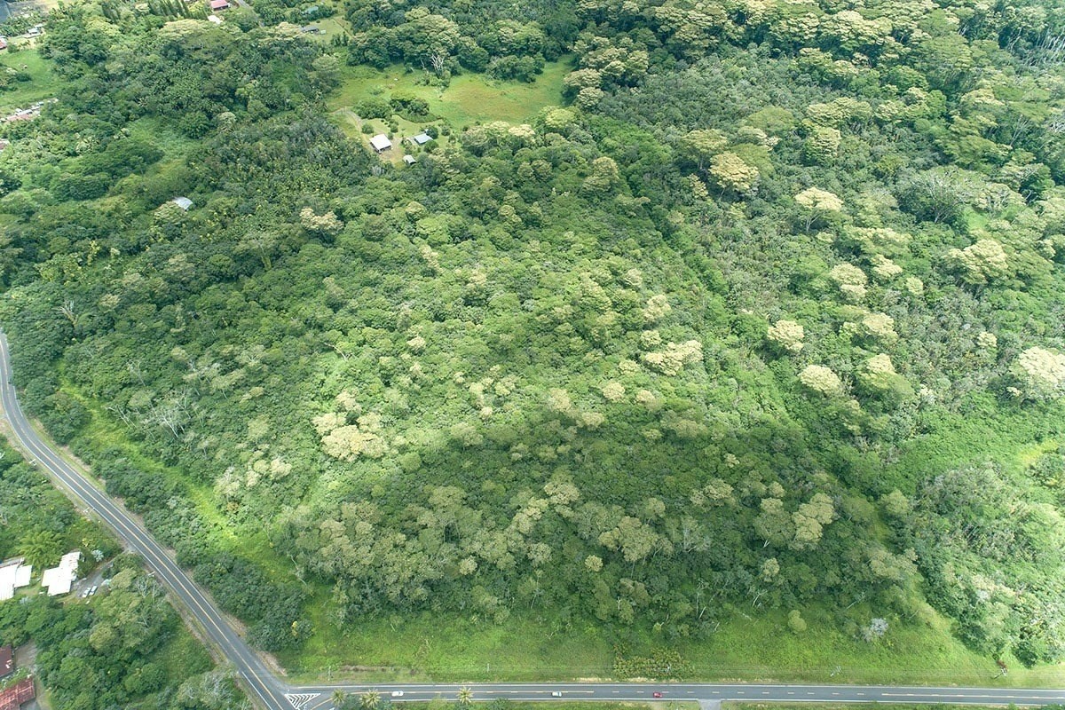 KAPOHO RD