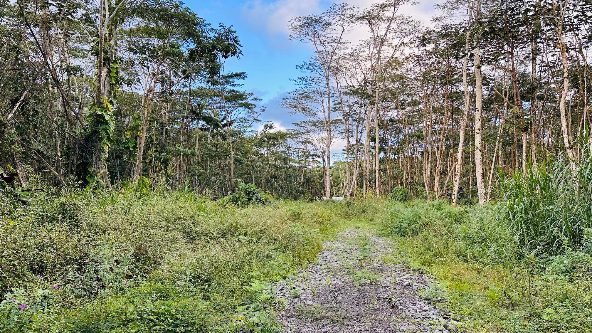 KAPOHO RD