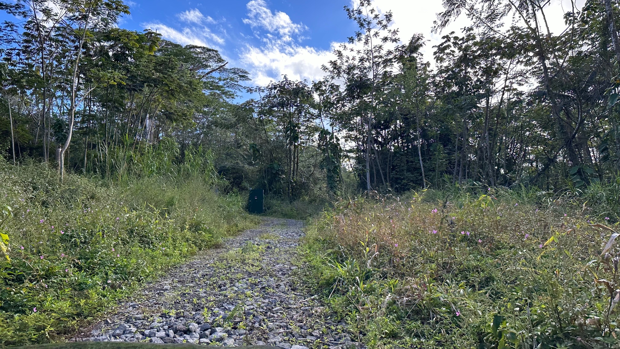 KAPOHO RD