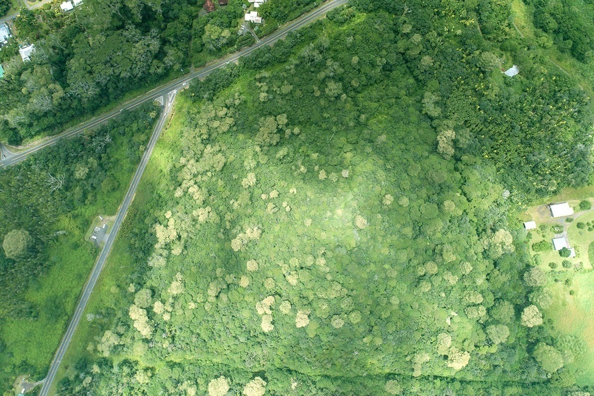 KAPOHO RD
