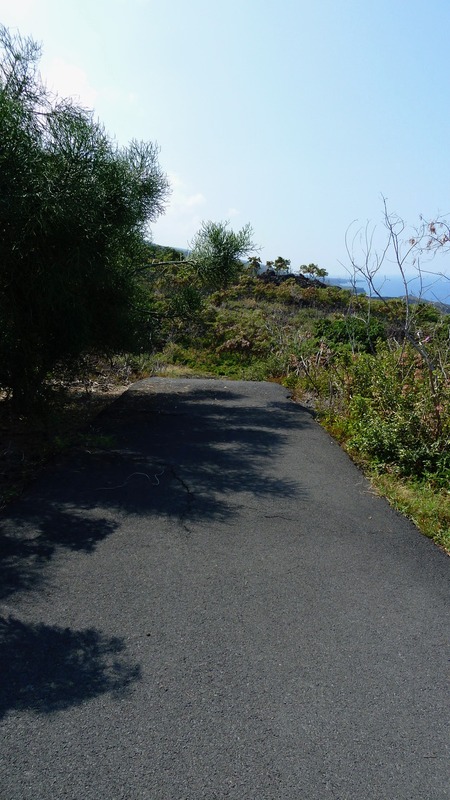 87-3179 HONU HIAMOE RD