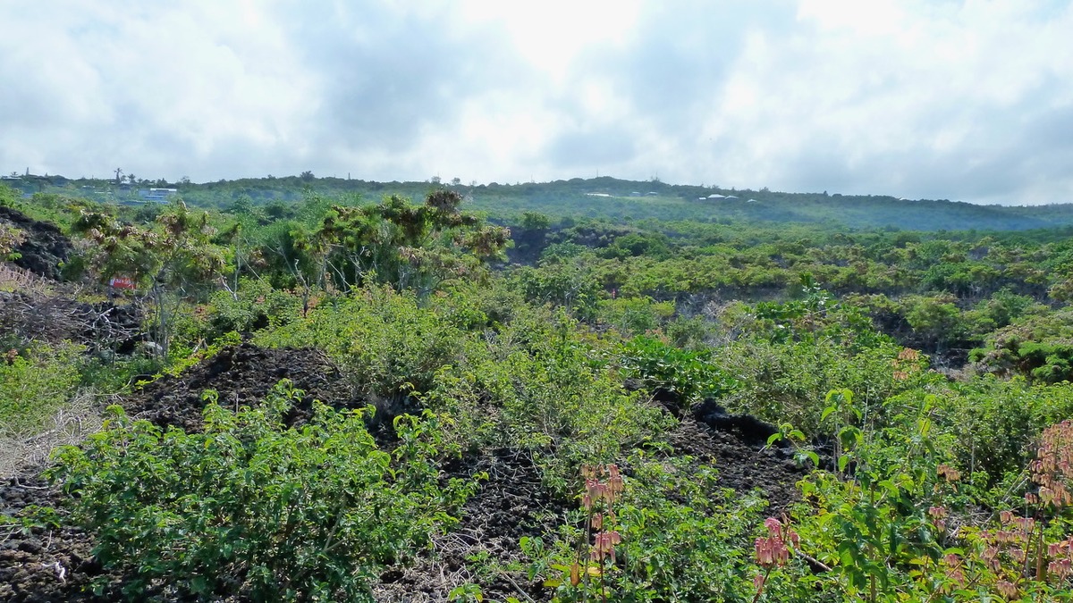 87-3179 HONU HIAMOE RD